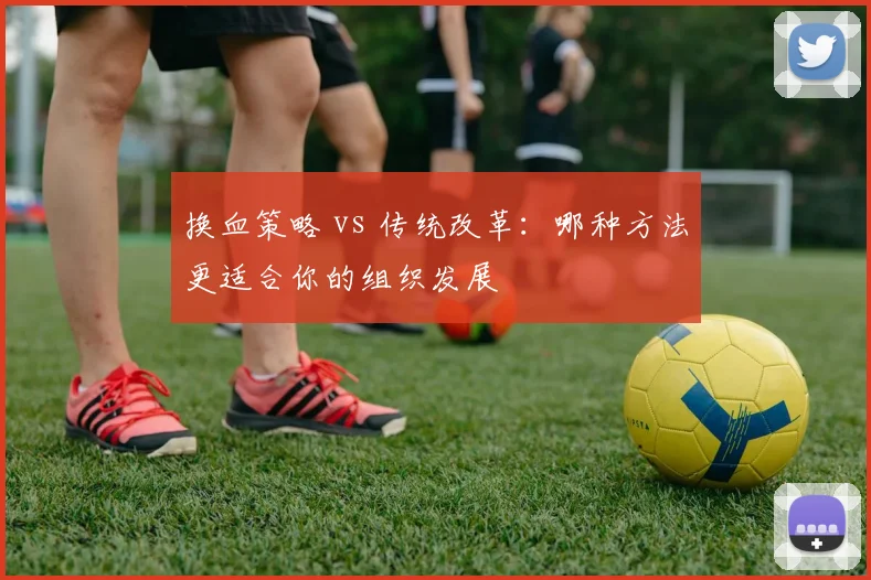 换血策略 vs 传统改革：哪种方法更适合你的组织发展