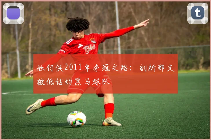 独行侠2011年夺冠之路：剖析那支被低估的黑马球队